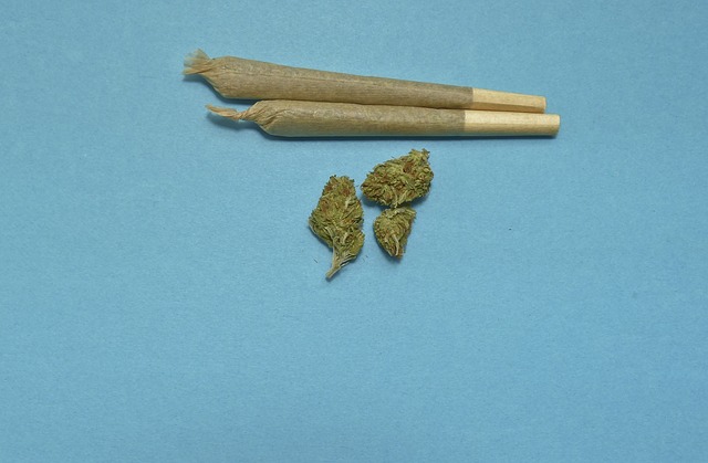 closeup of marijuana